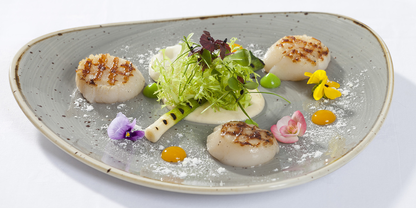 Hand dived Kilmore harbour sea scallops